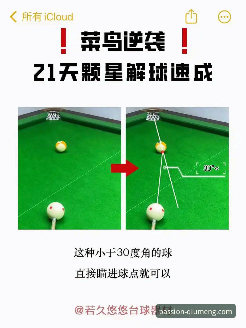 球盟会官方平台深度解析：从入门到精通的全方位指南