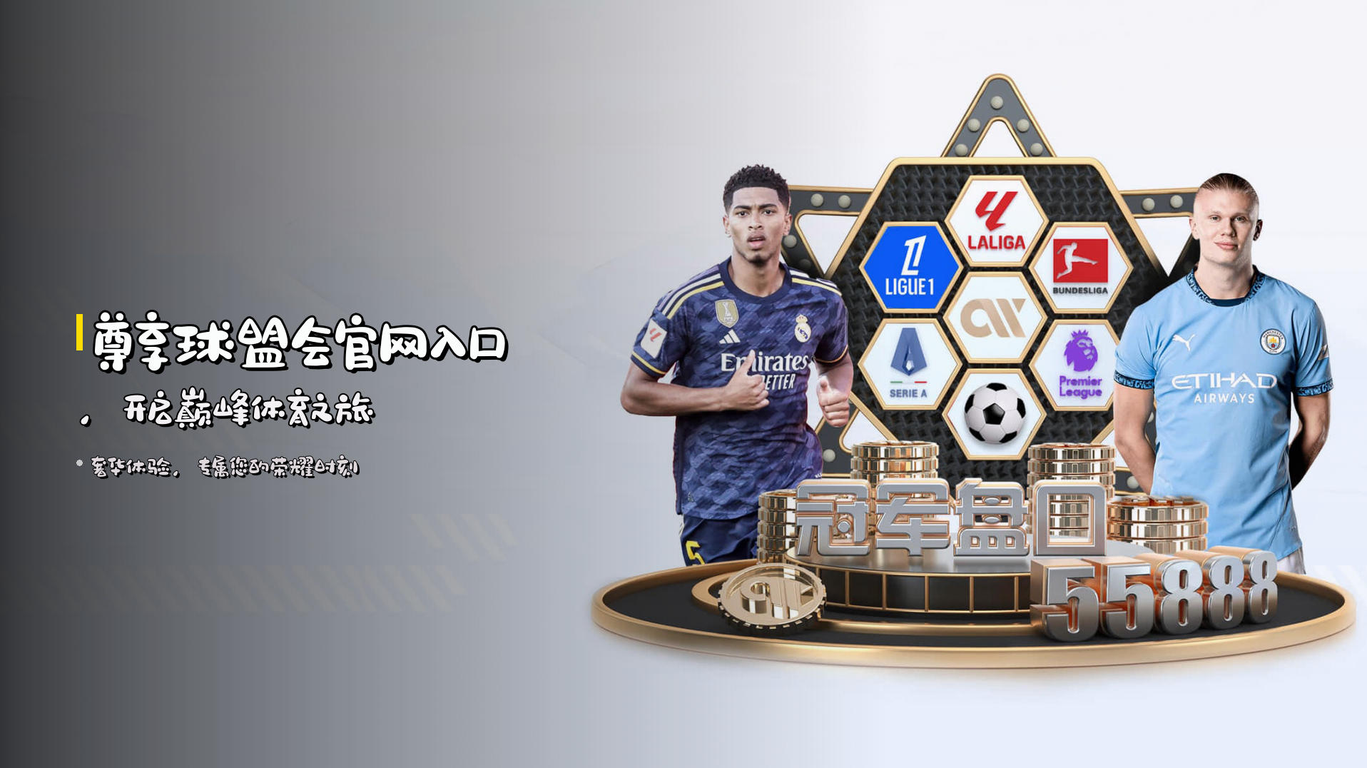 尊享<strong>球盟会官网入口</strong>，开启巅峰体育之旅